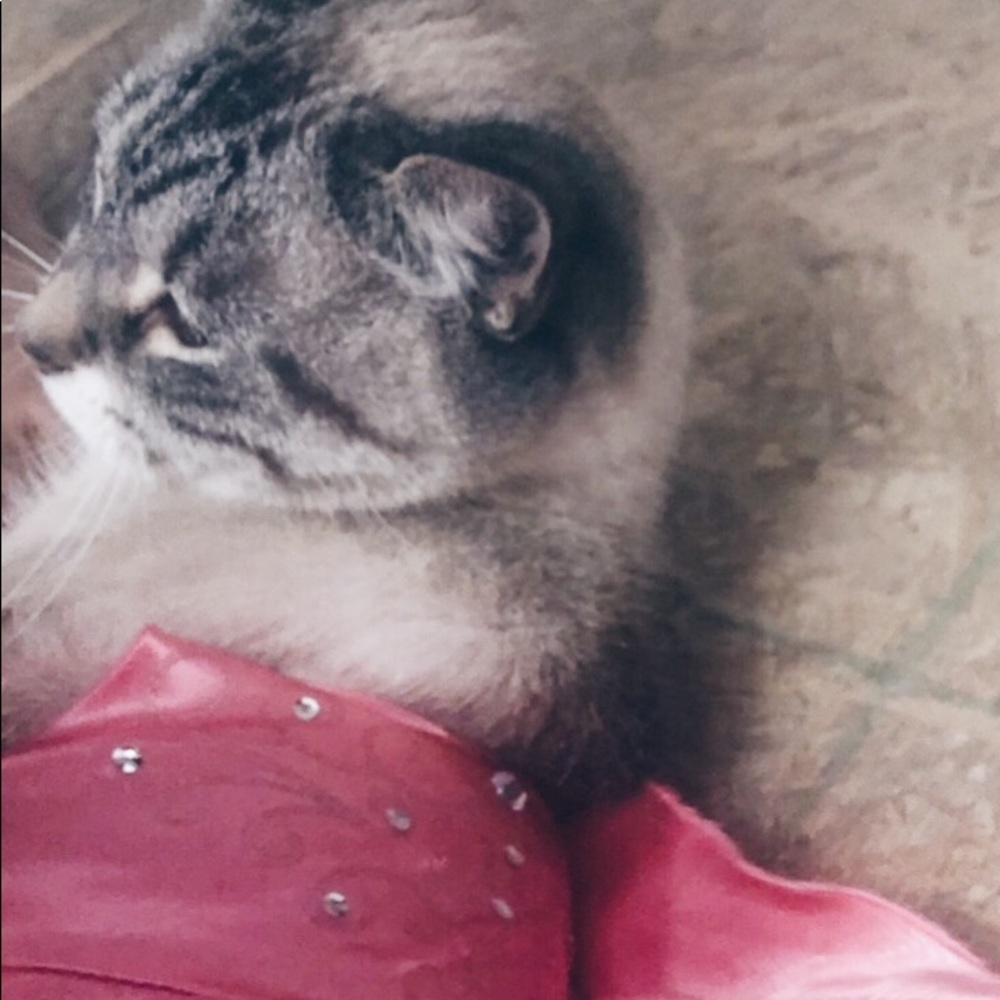 Meet your Posher, GZ